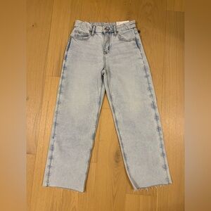American Eagle Outfitters Stovepipe Jeans